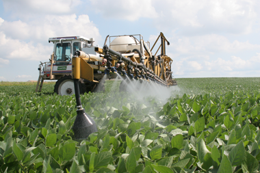 Soybean insecticides
